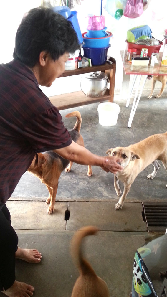 12 Rescues at Kelly's home