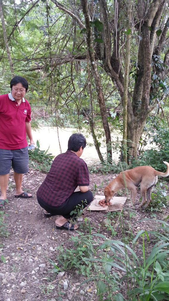 2 Feeding stray on route to shelter