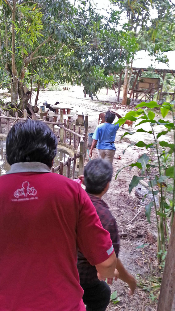 3 Going 2feed dogs at nighbour's place
