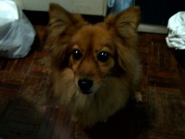 Resize-2