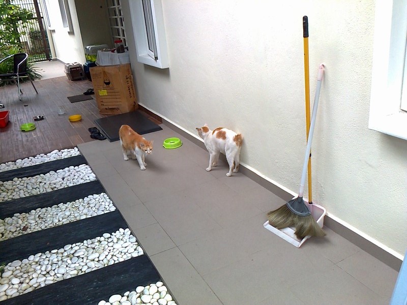 mini-Photo0153