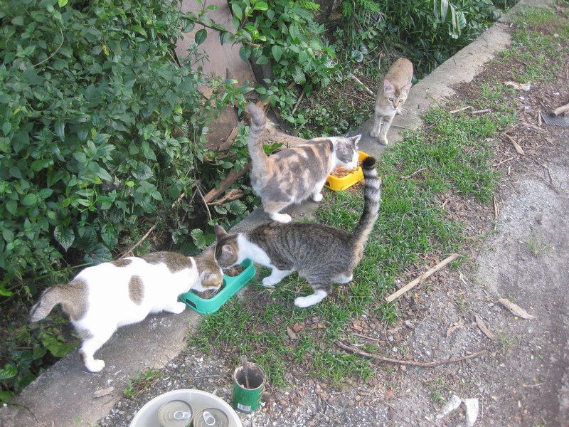 mini-IMG_2537
