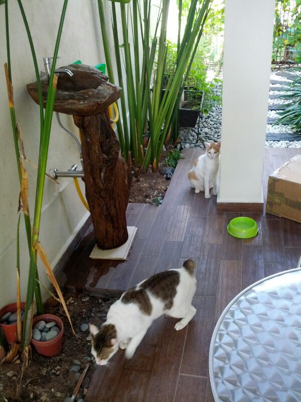 IMG-20130513-WA0001