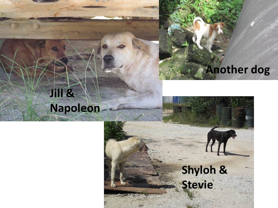 Slide2