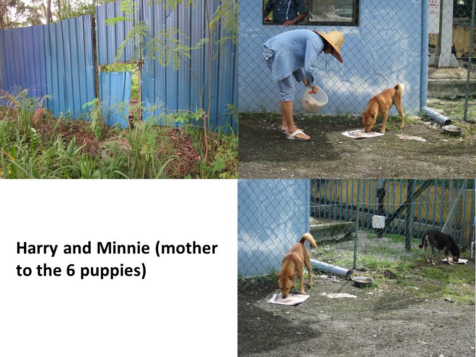 Slide4
