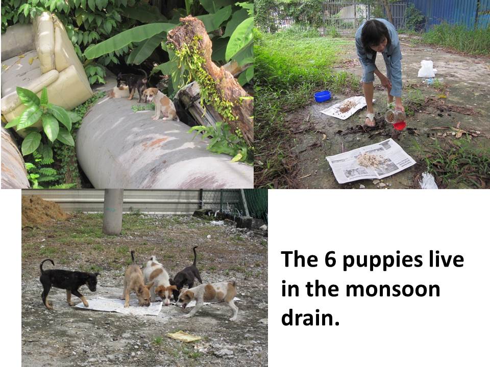 Slide6