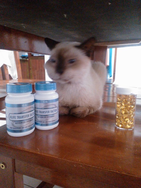 mini-WP_000383
