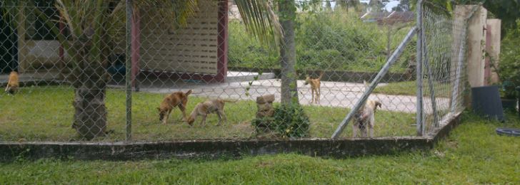tg malim snipped