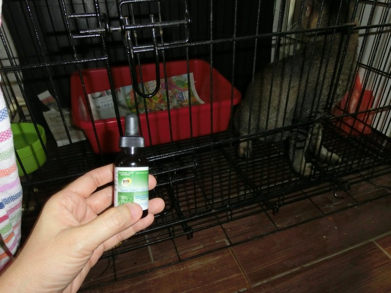 mini-CIMG6755