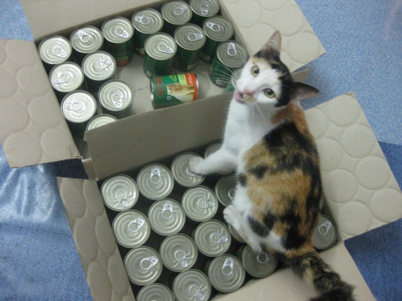 mini-0807 Wetfood