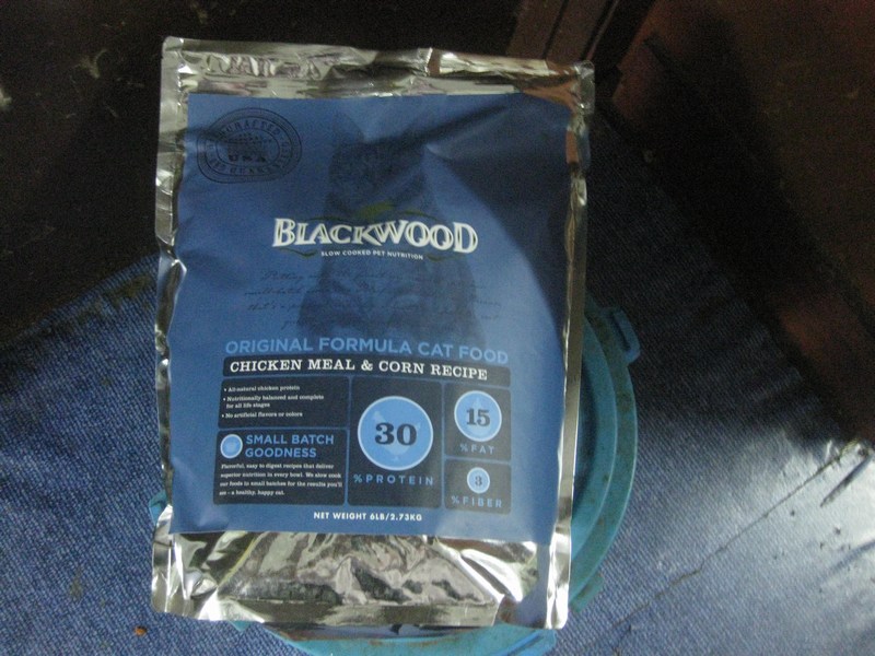 mini-0907 Blackwood
