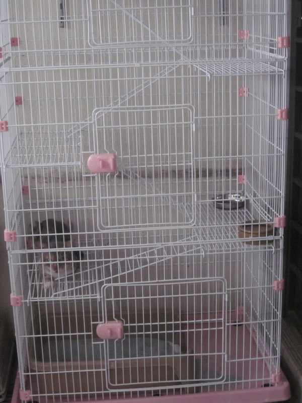 mini-Houdini's new condo