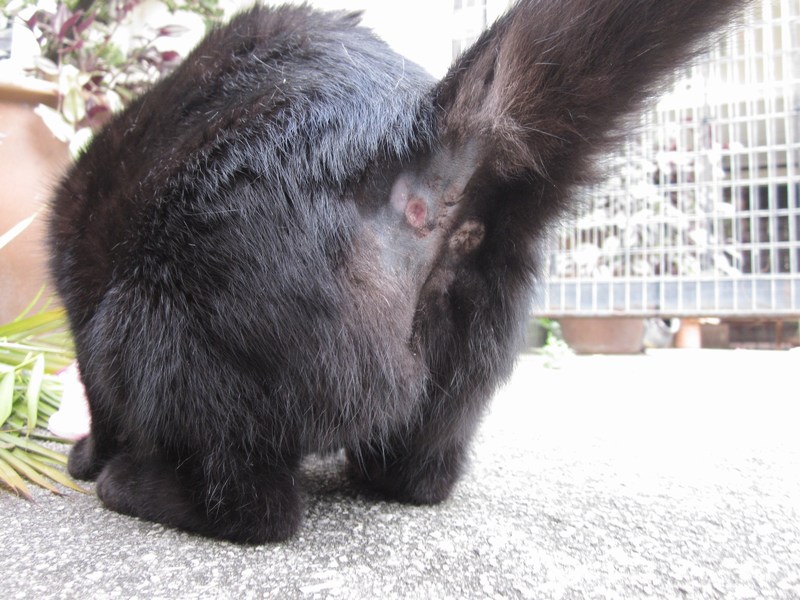 mini-Happily eating
