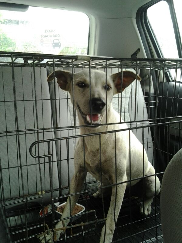 IMG-20130928-WA0000