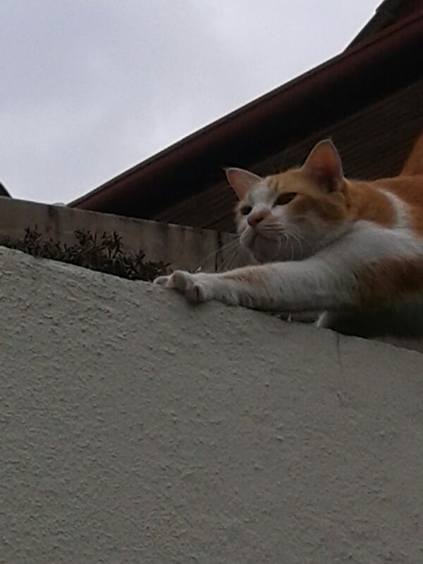 IMG-20131203-WA0004