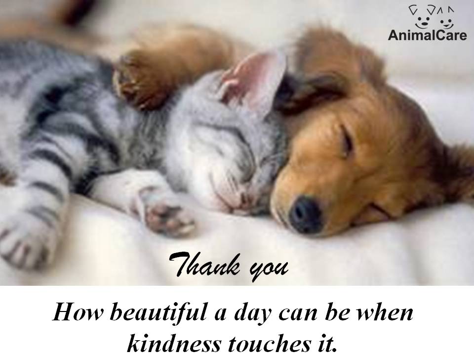 Thank you Aug 2011