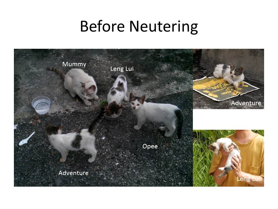 Slide2