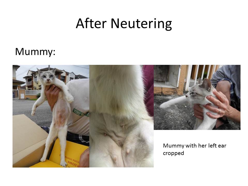 Slide3