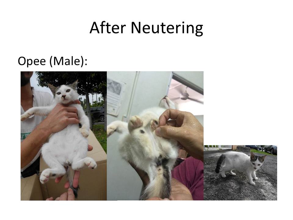 Slide4