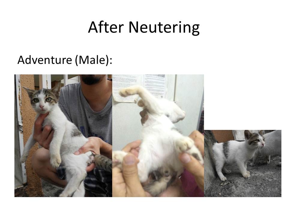 Slide5