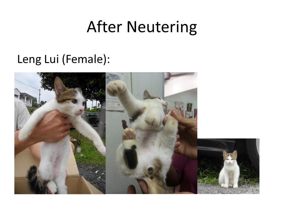 Slide6