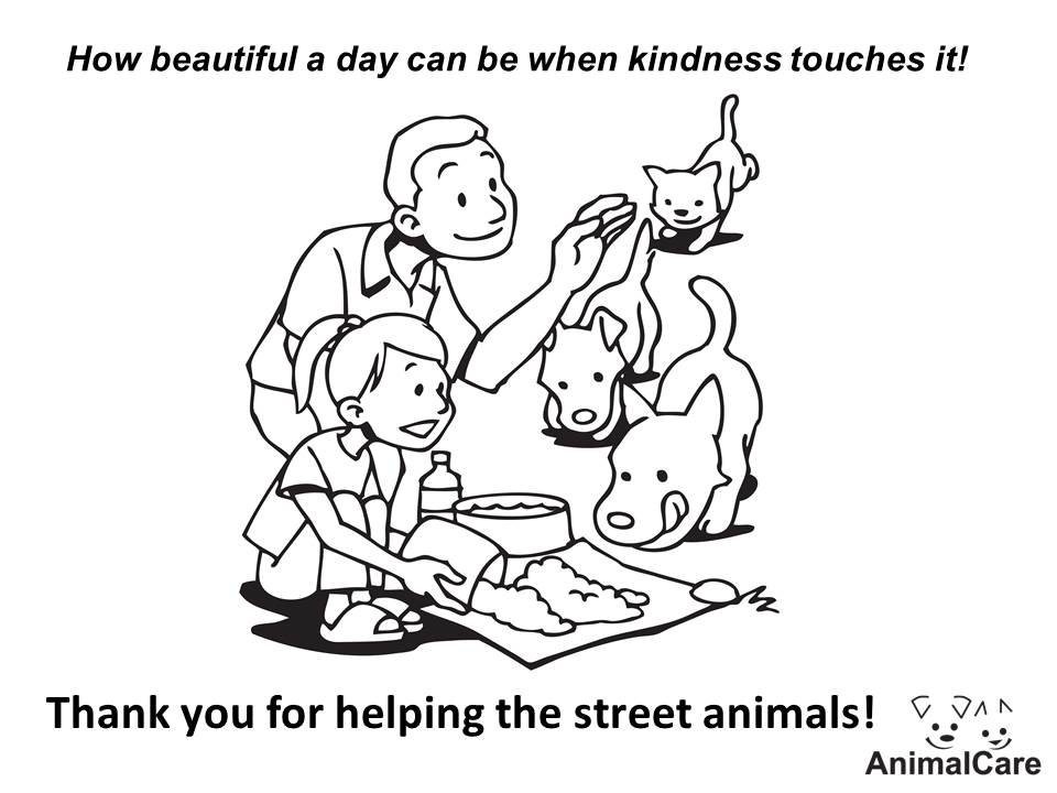Thank you for helping the street animals Feb 2014