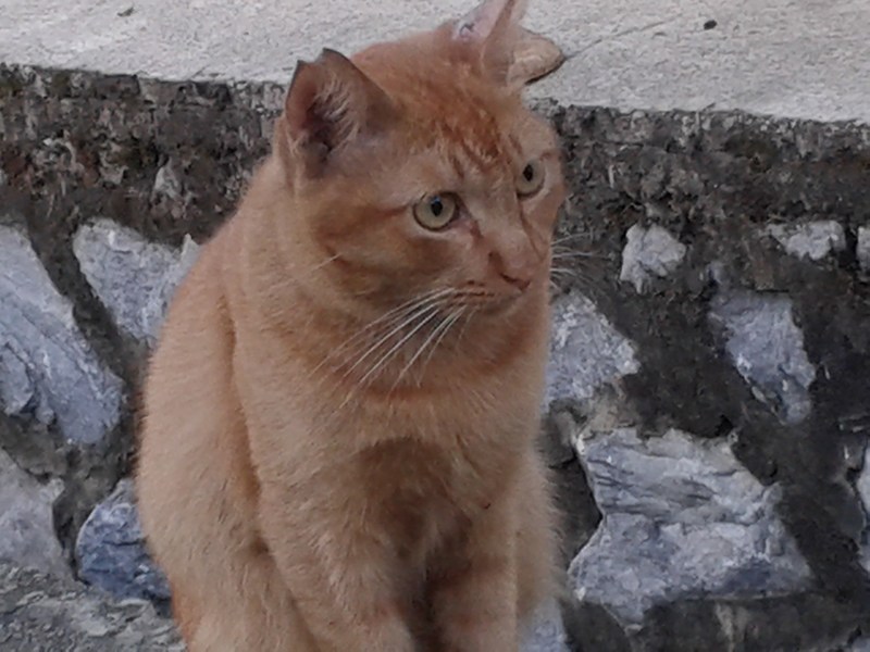 mini-20140218_075640