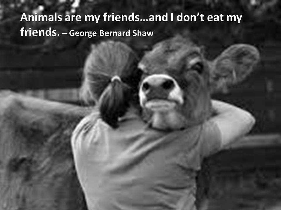 animals are my friends and I don't eat my friends