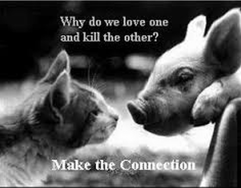 mini-why love one