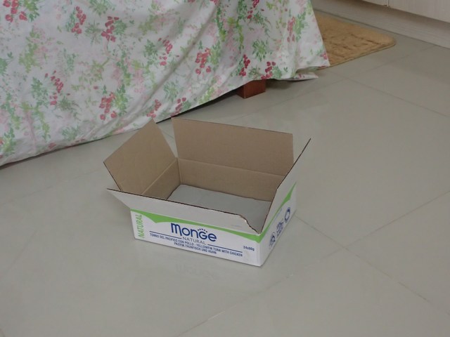 mini-PA070526