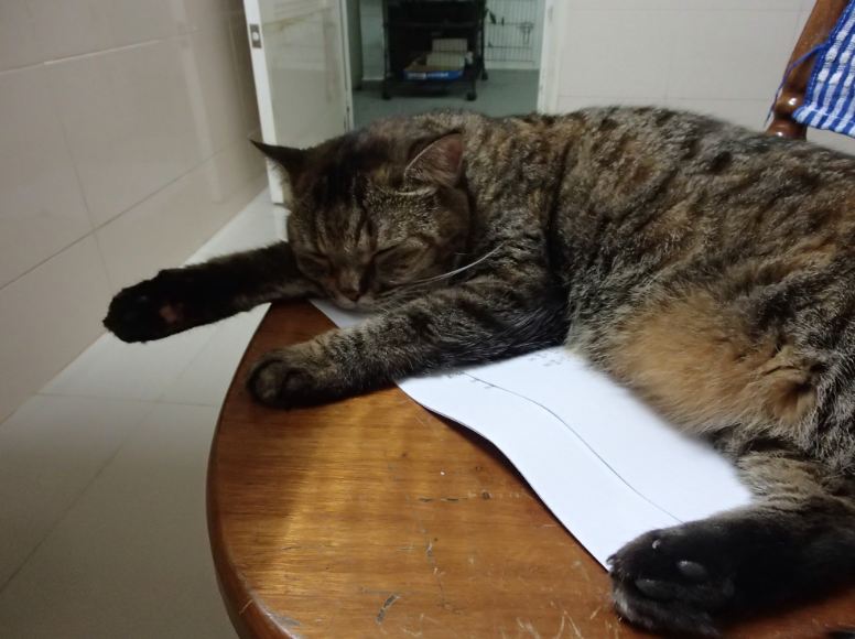 tabs on chair