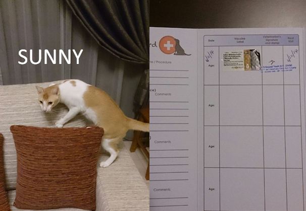 Sunny Vacc