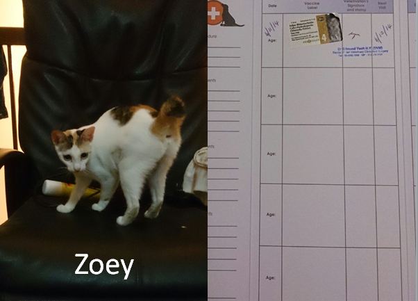 Zoey vacc