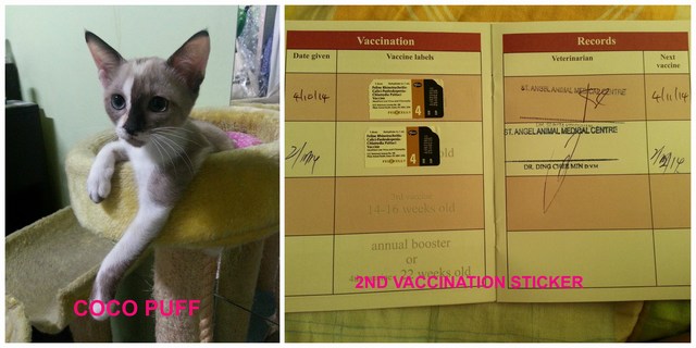 mini-PicMonkey Collage-COCO 2ND VACC