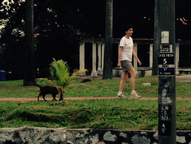 mini-IMG-20150129-WA0001