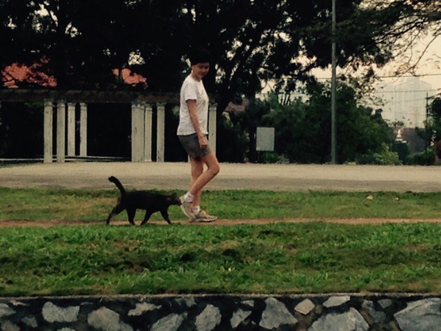 mini-IMG-20150129-WA0002