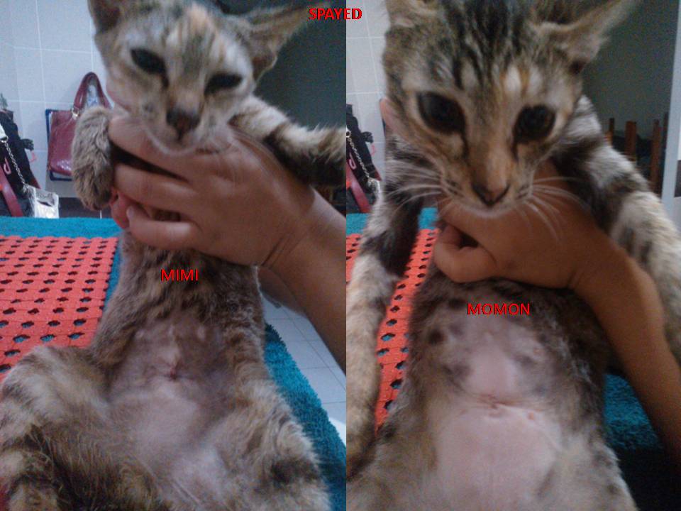 Mimi & MOmon