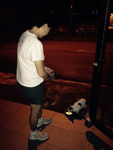 mini-IMG-20150320-WA0037