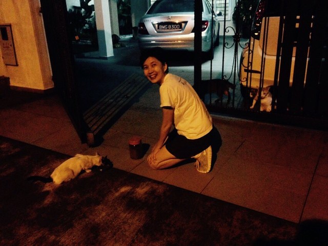 mini-IMG-20150320-WA0039