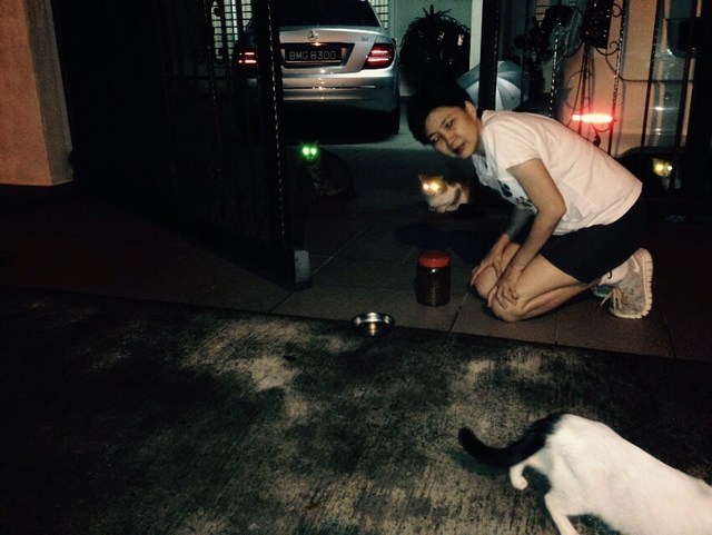 mini-IMG-20150320-WA0041
