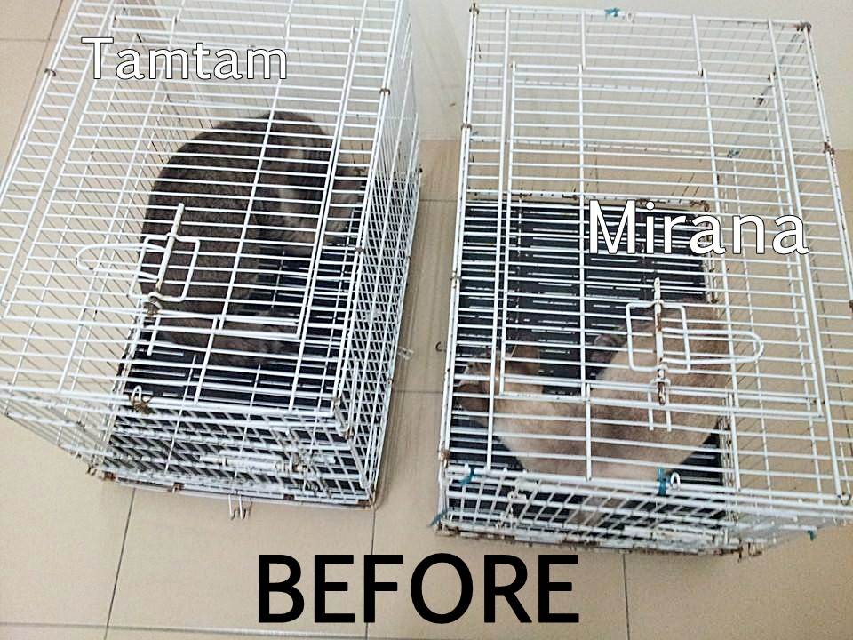 Beforemami