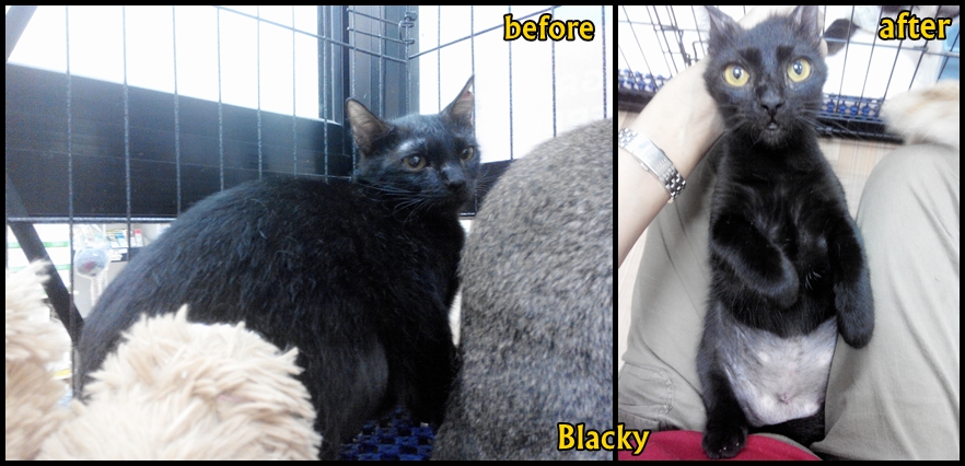 Blacky