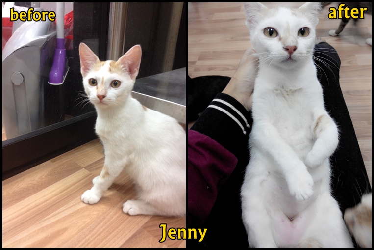 Jenny