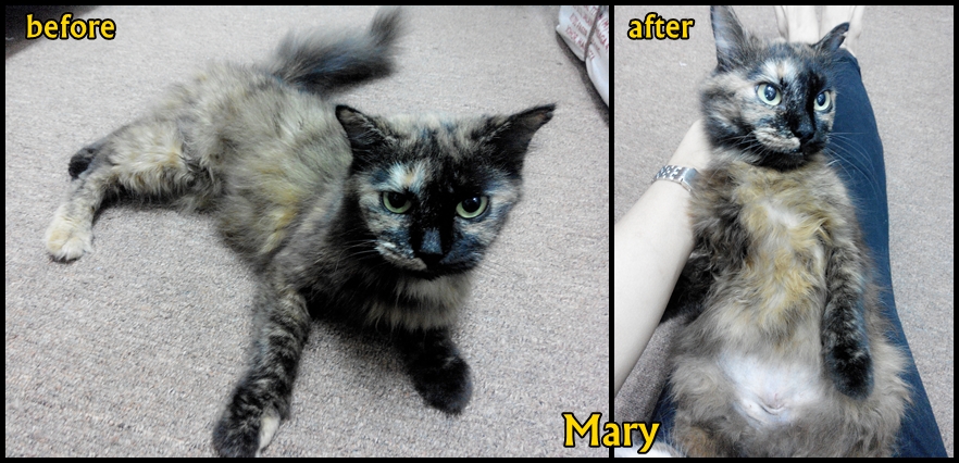 Mary