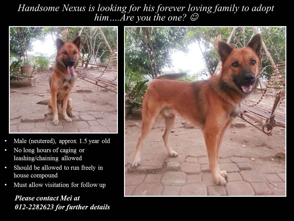 Nexus