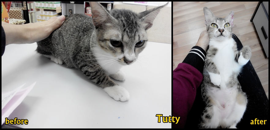 Tutty