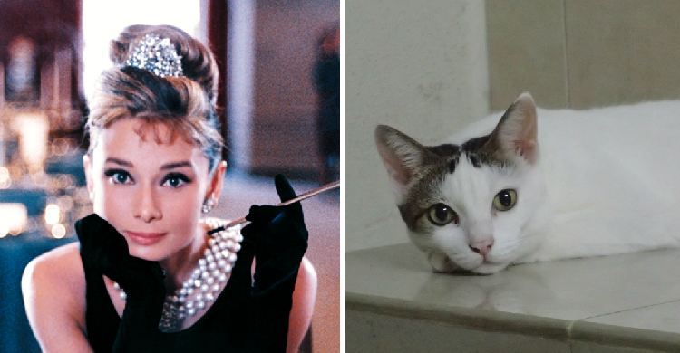Pole-and-Audrey-Hepburn