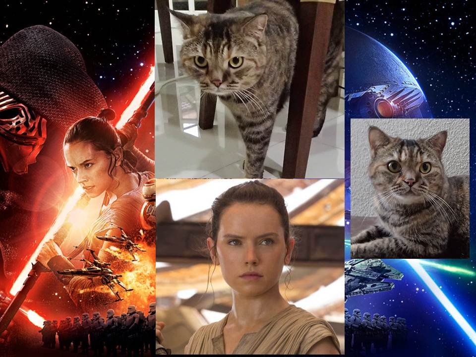 Tabs Rey