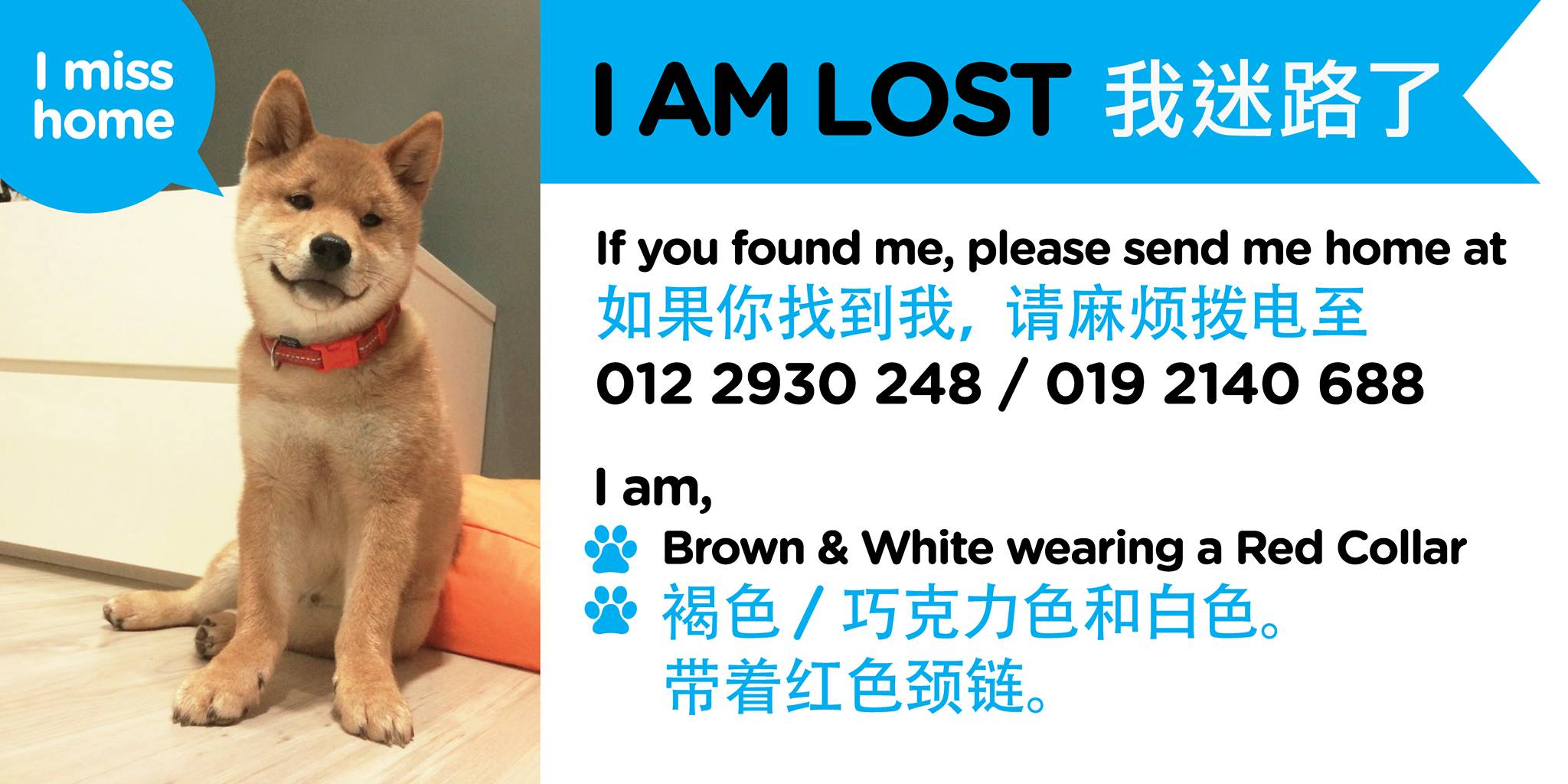 12674749_10153811765106335_1821146081_o