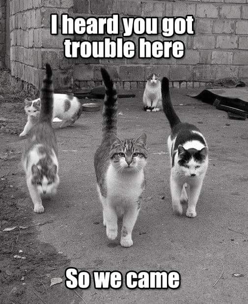 3351e805-380b-433d-bebd-0a892791a562